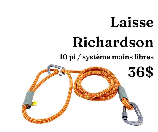 Path Leash - Laisse - mains-libres Orange et grise