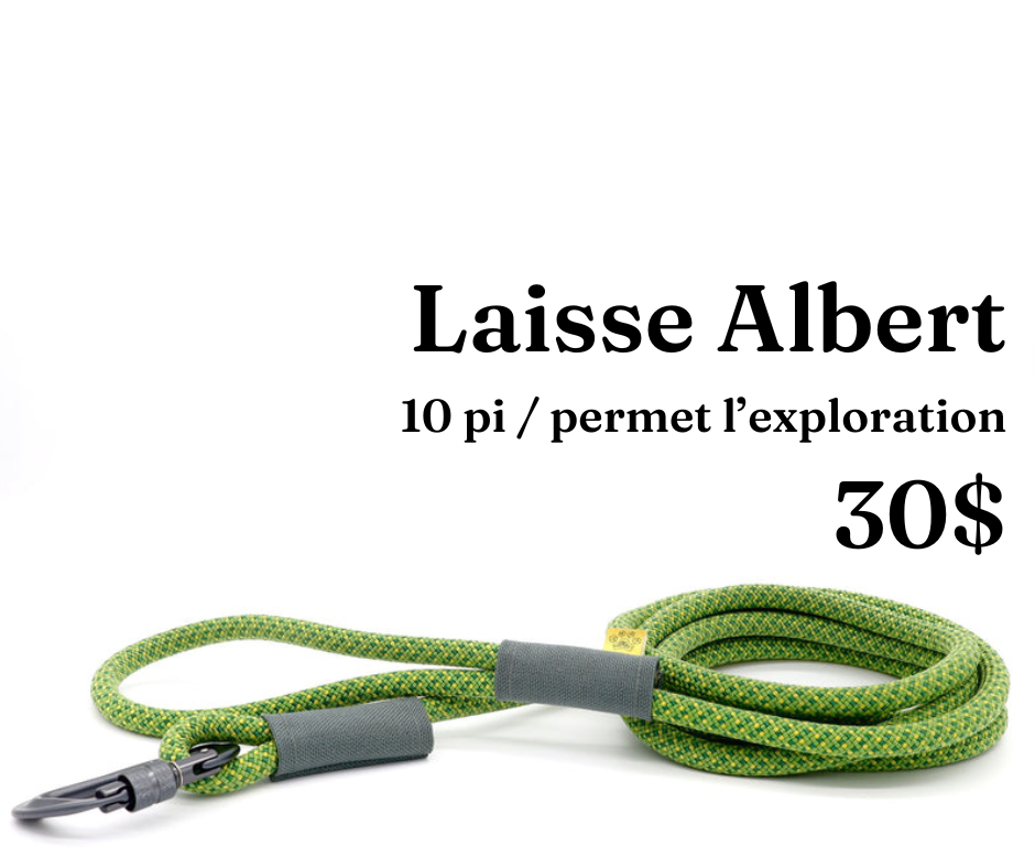 Path Leash - Laisse - 10pi Verte