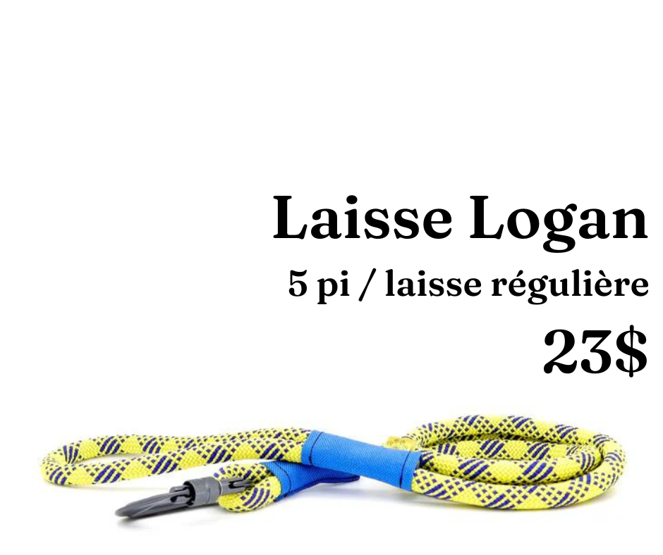 Path Leash - Laisse - Jaune & bleu