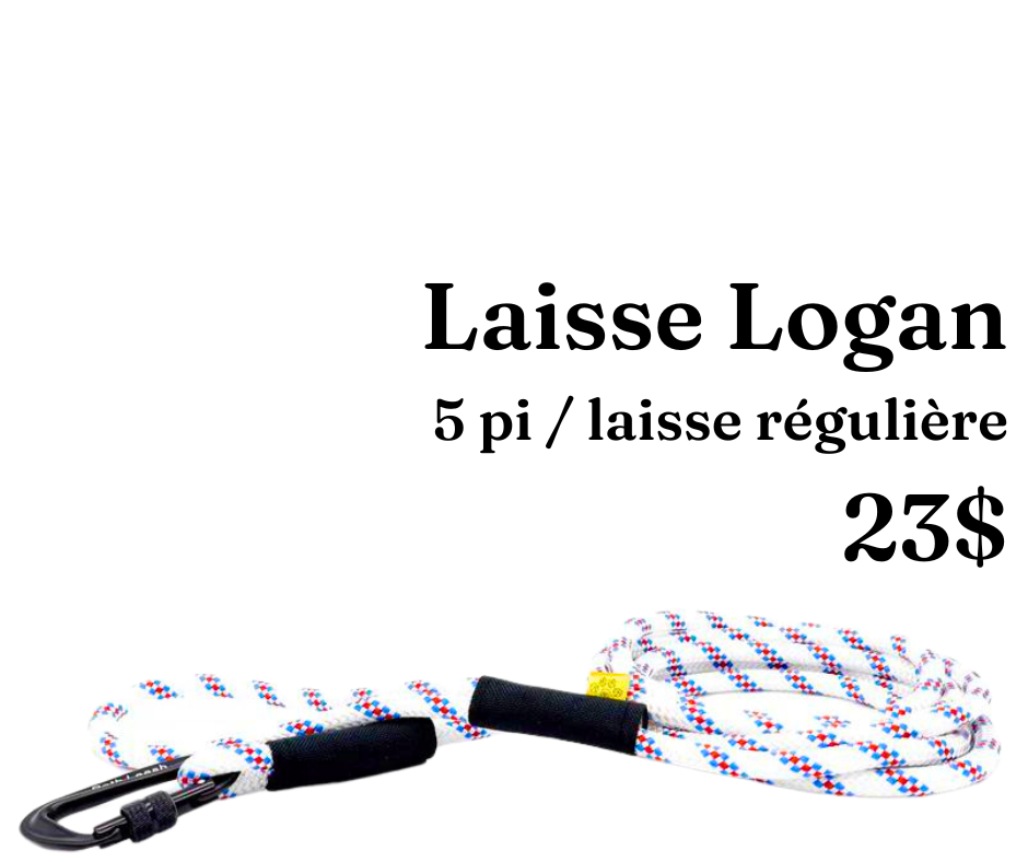 Path Leash - Laisse - Blanc, bleu & rouge