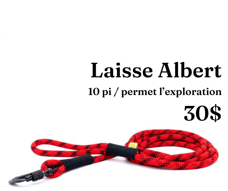 Path Leash - Laisse - 10pi Rouge & Noire