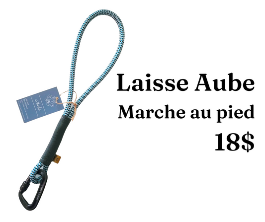 Path Leash - Laisse Aube - Bleu, blanc & noire